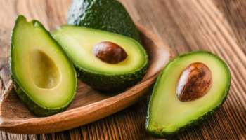 Avocado: ಬ್ಲಡ್‌ ಶುಗರ್‌ನ್ನು ಕ್ಷಣಾರ್ಧದಲ್ಲಿ ನಿಯಂತ್ರಿಸುತ್ತೆ ಈ ಹಣ್ಣು.!