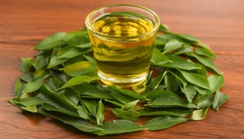 Benefits Of Curry Leaves: ನಿಮ್ಮ ಮನೆ ಹಿತ್ತಲಲ್ಲಿ ಬೆಳೆಯುವ ಈ ಗಿಡ ಒಂದು ಆರೋಗ್ಯ ಸಂಜೀವನಿ!