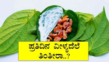 ಪ್ರತಿದಿನ ವೀಳ್ಯದೆಲೆ ತಿಂತೀರಾ..? ಹಾಗಿದ್ರೆ ಈ ಮಾರಕ ರೋಗಗಳಿಂದ ನೀವು ಸೇಫ್‌