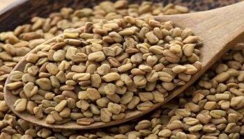 ಈ ಸಮಸ್ಯೆಗಳು ನಿಮಗೂ ಇದ್ದಲ್ಲಿ ಮೆಂತ್ಯೆ ಕಾಳನ್ನು ಸೇವಿಸಲೇಬಾರದು !