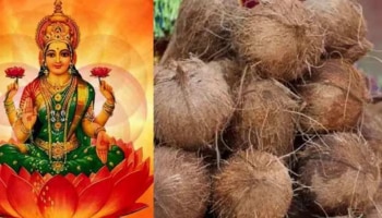 Coconut Remedy: ಮನೆಯಲ್ಲಿ ಸುಖ ಸಮೃದ್ಧಿ, ಸಿರಿ-ಸಂಪತ್ತು ಹೆಚ್ಚಳಕ್ಕೆ ಈ ಚಿಕ್ಕ ಉಪಾಯ ಮಾಡಿ!