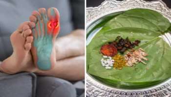 ವೀಳ್ಯದೆಲೆಯನ್ನು ಹೀಗೆ ಸೇವಿಸಿದರೆ ಗಂಟುಗಳಲ್ಲಿ ಕಲ್ಲು ಕಟ್ಟಿರುವ ಯೂರಿಕ್ ಆಸಿಡ್ ಕರಗುವುದು!ಆದರೆ ಇದೇ ಹೊತ್ತಿನಲ್ಲಿ ಸೇವಿಸಿದರೆ ಮಾತ್ರ ! 