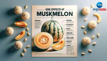 Muskmelon Side Effects: ಬೇಸಿಗೆಯಲ್ಲಿ ಕರ್ಬೂಜದ ಹಣ್ಣನ್ನು ಹೆಚ್ಚಾಗಿ ಸೇವಿಸ್ತೀರಾ? ಹಾಗಿದ್ದರೆ ಎಚ್ಚರ! 