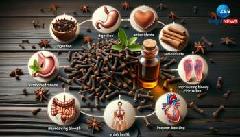 Clove Benefits: ಒಂದು ಲವಂಗ ಜಗಿಯುವುದರಿಂದ ಹಲ್ಲುನೋವಷ್ಟೆ ಅಲ್ಲ, ಈ ಸಮಸ್ಯೆಗಳು ದೂರವಾಗುತ್ತೆ! 