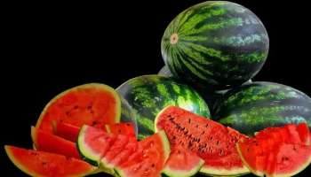 Watermelon: ಕಲ್ಲಂಗಡಿಯನ್ನು ಮೊದಲು ಎಲ್ಲಿ ಬೆಳೆಯಲಾಯಿತು? ಈ Summer Superfruit ಭಾರತವನ್ನು ತಲುಪಿದ್ದು ಹೇಗೆ?