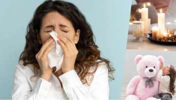 Sneezing: ಅತಿಯಾಗಿ ಸೀನುತ್ತಿದೀರಾ? ನಿಮ್ಮ ಮನೆಯಲ್ಲಿ ಈ ವಸ್ತುಗಳನ್ನು ದೂರ ಇಡುವುದರಿಂದ ಸೀನುವಿಕೆ ನಿಯಂತ್ರಿಸಬಹುದು!