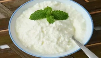 How to Make Curd: ಮನೆಯಲ್ಲೇ ರುಚಿ ರುಚಿಯಾದ ಮೊಸರು ಮಾಡುವದು ಹೇಗೆ ಗೊತ್ತಾ? 