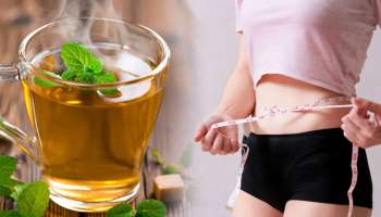 ಬೆಳಗ್ಗೆ ಬ್ರಷ್ ಮಾಡುವ ಮುನ್ನ ಈ ನೀರನ್ನು ಕುಡಿಯಿರಿ: ಕೇವಲ 5 ದಿನದಲ್ಲಿ ಹೊಟ್ಟೆಯ ಬೊಜ್ಜು ಸಂಪೂರ್ಣವಾಗಿ ಕರಗುತ್ತೆ! ಬಳುಕುವ ಬಳ್ಳಿಯಂತಾಗುತ್ತೆ ಸೊಂಟ