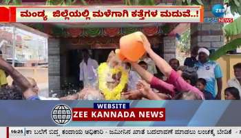 Marriage of donkeys for rain in Mandya district