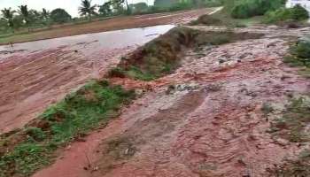 ಜೋರು ಮಳೆಗೆ ಕೊಚ್ಚಿಹೋದ ಬಿತ್ತನೆ ಮಾಡಿದ್ದ ಸೂರ್ಯಕಾಂತಿ, ಹತ್ತಿ