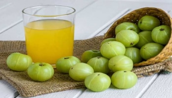 Amla Juice: ಉರಿ ಮೂತ್ರದ ಸಮಸ್ಯೆಗೆ ಪ್ರತಿದಿನ ಆಮ್ಲಾ ಜ್ಯೂಸ್‌ ಸೇವಿಸಿರಿ