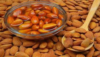 Soaked Almonds : ನೆನೆಸಿದ ಬಾದಾಮಿ ಸೇವನೆಯಿಂದ ಈ ಆರೋಗ್ಯಕರ ಪ್ರಯೋಜನಗಳು ನಿಮ್ಮದಾಗುತ್ತವೆ