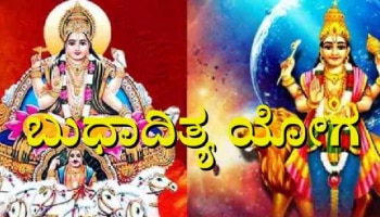 ಸೂರ್ಯನಿಂದ ರೂಪುಗೊಂಡ ಬುಧಾದಿತ್ಯ ಯೋಗ; ಈ 6 ರಾಶಿಯವರಿಗೆ ದೊರೆಯಲಿದೆ ರಾಜಯೋಗ!