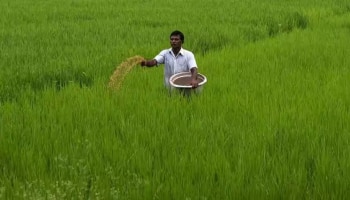 ಉತ್ತಮ ಬೆಳೆಗಳನ್ನು ಪಡೆಯಲು ಈ ಕ್ರಮಗಳನ್ನು ಅನುಸರಿಸಿ