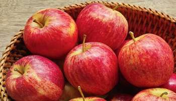 Apple Peel Benefits: ಸೇಬು ಹಣ್ಣಿನ ಸಿಪ್ಪೆಯಲ್ಲಿದೆ ಈ ಕಾಯಿಲೆಗೆ ಮದ್ದು.!  