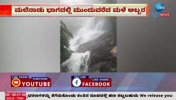 falls in shivamogga 