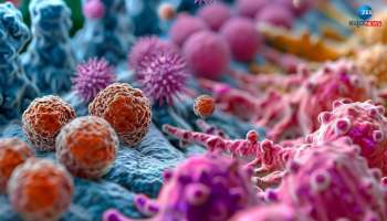 ಸಾರ್ಕೋಮಾ - ಗುಪ್ತ ಆಕ್ರಮಣಕಾರಿ ಕ್ಯಾನ್ಸರ್‌ನ ಅಪರೂಪದ ಚಿಹ್ನೆಗಳು ಮತ್ತು ಲಕ್ಷಣಗಳು