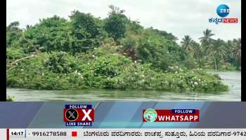 Bird sanctuary in danger due to floods