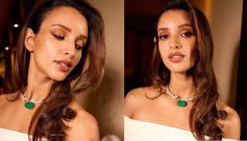 ಆನಿಮಲ್ ನಂತರ 'ಬ್ಯಾಡ್ ನ್ಯೂಸ್' ಮೂಲಕ ಮತ್ತೆ ವೈರಲ್ ಆಗಿರುವ ತ್ರಿಪ್ತಿ ಡಿಮ್ರಿ..!