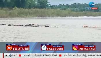 heavy flow of tunga river 