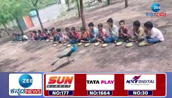 National bird enjoys mid day meal with govt school children 