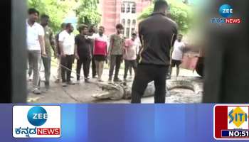 crocodile crocodile enters house in gujarat vadodara