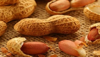 Benefits of Peanuts: ಒಣದ್ರಾಕ್ಷಿ ಮತ್ತು ಗೋಡಂಬಿಯಷ್ಟು ಶಕ್ತಿಯನ್ನು ನೀಡುತ್ತದೆ ಈ ಬಡವರ ಬಾದಾಮಿ