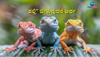 ಹಲ್ಲಿ ಬೀಳುವುದರ ಅರ್ಥವೇನು? ದೇಹದ ಈ ಭಾಗಗಳ ಮೇಲೆ ಹಲ್ಲಿ ಬಿದ್ದರೆ ಕೈ ಸೇರುತ್ತೆ ಅಪಾರ ಸಂಪತ್ತು... !