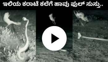 Viral video: ಇಲಿಯ ಕರಾಟೆ ಕಲೆಗೆ ಬೇಟೆ ಆಡಲು ಬಂದ ಹಾವು ಫುಲ್ ಸುಸ್ತು 