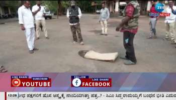 Giant python spotted in Dharwad