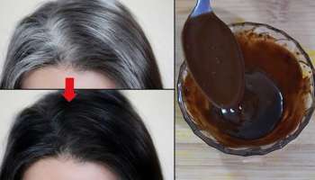 ಬಿಳಿಕೂದಲನ್ನು ಬೇರಿನಿಂದಲೇ ಕಡುಕಪ್ಪಾಗಿಸಲು ಕಾಫಿಪುಡಿಗೆ ಇದನ್ನು ಬೆರೆಸಿ ಹಚ್ಚಿ: ಸೆಕೆಂಡುಗಳಲ್ಲಿ ಕೂದಲಾಗುವುದು ಕಡುಕಪ್ಪು! 60 ವರ್ಷವಾದ್ರೂ ಹಾಗೇ ಇರುತ್ತೆ 