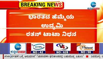 Indian businessman Ratan Tata passed away