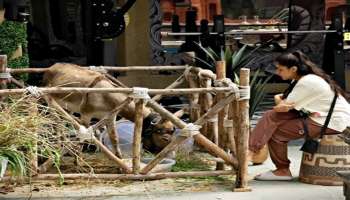 ರಿಯಾಲಿಟಿ ಶೋನ ಇತಿಹಾಸದಲ್ಲೆ ಇದೇ ಮೊದಲ ಭಾರಿಗೆ ಬಿಗ್‌ಬಾಸ್‌ ಮನೆಯಿಂದ ಹೊರಬಿದ್ದ ಸ್ಪೆಷಲ್‌ ಸ್ಪರ್ಧಿ! ಸಾರ್ವಜನಿಕರ ಬೇಡಿಕೆ ಮೇರೆಗೆ ಎಲಿಮಿನೇಷನ್‌? 