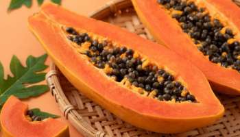 Papaya Seeds: ಪಪ್ಪಾಯಿ ಬೀಜಗಳಲ್ಲಿದೆ ಈ ಮಾರಕ ಕಾಯಿಲೆ ಗುಣಪಡಿಸುವ ಶಕ್ತಿ! ಹೀಗೆ ತಿಂದರೆ ರಕ್ತನಾಳದಲ್ಲಿ ಜಿಡ್ಡು ಕಟ್ಟಿದ ಕೆಟ್ಟ ಕೊಲೆಸ್ಟ್ರಾಲ್ ಸುಟ್ಟೇ ಹೋಗುತ್ತದೆ.. ಹಾರ್ಟ್‌ ಬ್ಲಾಕೇಜ್ ಸುಲಭವಾಗಿ ತೆರವಾಗುವುದು !