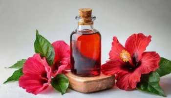 ದಾಸವಾಳದ ಹೂ, ಎಲೆಗಳಿಂದ ತಯಾರಿಸಿದ ಎಣ್ಣೆ ಹಚ್ಚಿ ಕೂದಲುದುರುವಿಕೆಗೆ ಬ್ರೇಕ್ ಹಾಕಿ, ಬಿಳಿ ಕೂದಲು ಬುಡದಿಂದಲೂ ಕಪ್ಪಾಗುತ್ತೆ 