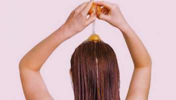 ಈ 2 ವಸ್ತುಗಳಿಂದ ಹೇರ್ ಪ್ಯಾಕ್ ತಯಾರಿಸಿ ಬಳಸಿದರೆ ಕೂದಲು ಗಾಢಕಪ್ಪಾಗಿ ಮೊಣಕಾಲುದ್ದ ಬೆಳೆಯೋದು ಪಕ್ಕಾ! 