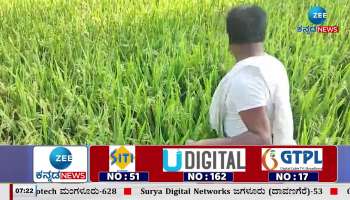 Success in Paddy Cultivation through Yantrashree