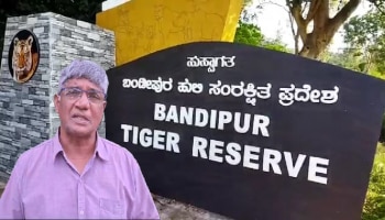 Bandipura Forest: ಡಿಸಿಎಂ ಡಿ.ಕೆ.ಶಿವಕುಮಾರ್‌ ಹೇಳಿಕೆಗೆ ಪರಿಸರವಾದಿಗಳ ಆಕ್ಷೇಪ 