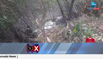 Poisonous water through the canal to Krishna river