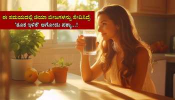 Chia Seeds: ನಿತ್ಯ ಈ ಸಮಯದಲ್ಲಿ ಚಿಯಾ ಸೀಡ್ಸ್ ಬಳಸಿದರೆ ತ್ವರಿತ ತೂಕ ಇಳಿಕೆ ಗ್ಯಾರಂಟಿ! 