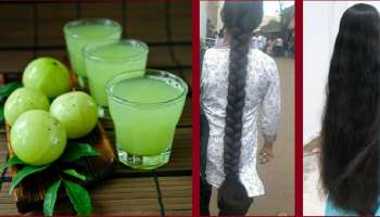 ಯಾವುದೇ ದುಬಾರಿ ಪ್ರಾಡಕ್ಟ್‌ ಬೇಡ.. ʼಈʼ ರಸ ಹಚ್ಚಿದ್ರೆ ಮೊಣಕಾಲುದ್ದ, ಕಡುಕಪ್ಪು ಕೂದಲು ನಿಮ್ಮದಾಗುತ್ತೆ! 