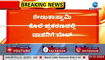 Darshan granted bail in Renukaswamy murder case