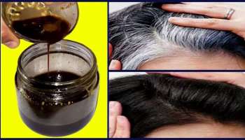 ಸಾಸಿವೆ ಎಣ್ಣೆಯಲ್ಲಿ ʼಈʼ ಪುಡಿ ಬೆರೆಸಿ ಹಚ್ಚಿದ್ರೆ ಹತ್ತೇ ನಿಮಿಷದಲ್ಲಿ ಬಿಳಿ ಕೂದಲು ಶಾಶ್ವತವಾಗಿ ಕಪ್ಪಾಗುತ್ತೆ! ತಲೆಹೊಟ್ಟಿನ ಸಮಸ್ಯೆ ಕೂಡ ಇರಲ್ಲ!! 