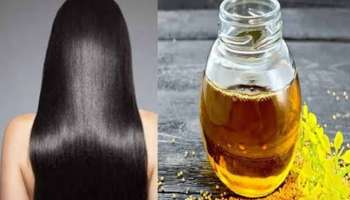 ಈ ಎಣ್ಣೆ ಹಚ್ಚಿದ್ರೆ ಬಿಳಿಕೂದಲು ಬೇರು ಸಹಿತ ಕಪ್ಪಾಗಿ ಒಂದೇ ತಿಂಗಳಲ್ಲಿ ಮೊಣಕಾಲುದ್ದ ಬೆಳೆಯುತ್ತೆ! 50 ವರ್ಷ ದಾಟಿದ್ರೂ ಕೂದಲು ಮತ್ತೆ ಯಾವತ್ತೂ ಬೆಳ್ಳಗಾಗಲ್ಲ