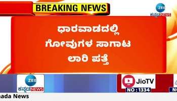 Cow transport truck detected in Dharwad: 14 cattle rescued