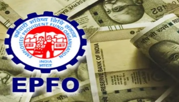  EPFO ದಲ್ಲಿ ಪದವಿಧರರಿಗೆ ಸುವರ್ಣಾವಕಾಶ..! 65,000 ರೂ.ವರೆಗೂ ಸಿಗಲಿದೆ ವೇತನ..! 