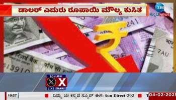 Rupee falls against dollar