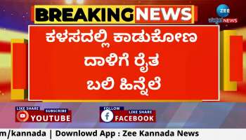 Farmer killed in wild buffalo attack in Kalasa: Government provides compensation to deceased family