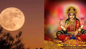 Magha Purnima 2025: ಮಾಘ ಪೂರ್ಣಿಮೆಯಂದು ಈ 2 ರಾಶಿಗಳ ಅದೃಷ್ಟವೇ ಬದಲಾಗಲಿದೆ!!