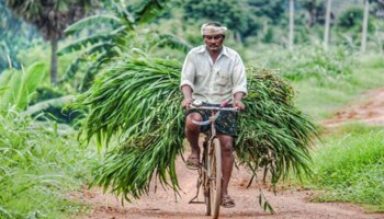  9.8 ಕೋಟಿ ರೈತರಿಗೆ ಗುಡ್ ನ್ಯೂಸ್ ನೀಡಿದ ಕೇಂದ್ರ ಸರ್ಕಾರ..! ಏನಿದು ಗೊತ್ತಾ ಈ ಹೊಸ ಅಪ್ಡೇಟ್..?